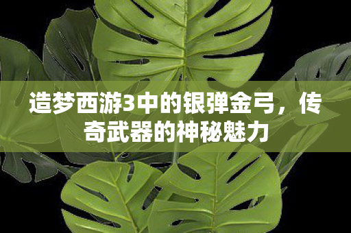 造梦西游3中的银弹金弓，传奇武器的神秘魅力