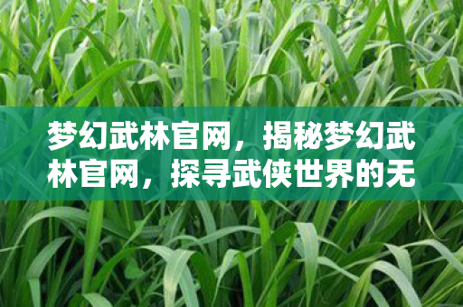 梦幻武林官网，揭秘梦幻武林官网，探寻武侠世界的无尽奥秘