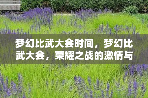 梦幻比武大会时间，梦幻比武大会，荣耀之战的激情与策略