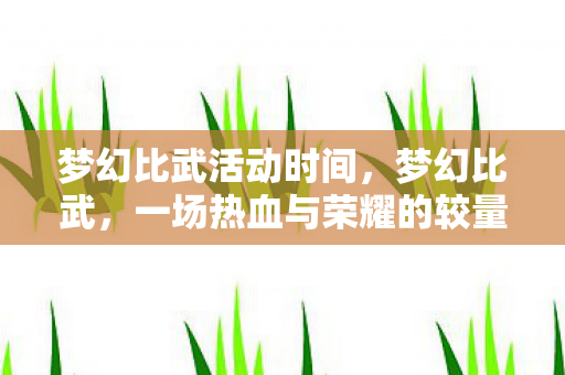 梦幻比武活动时间，梦幻比武，一场热血与荣耀的较量