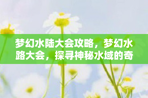梦幻水陆大会攻略，梦幻水路大会，探寻神秘水域的奇幻之旅