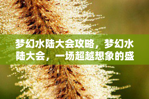梦幻水陆大会攻略，梦幻水陆大会，一场超越想象的盛宴