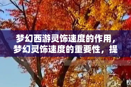 梦幻西游灵饰速度的作用，梦幻灵饰速度的重要性，提升游戏体验的关键要素