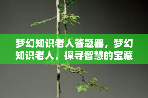 梦幻知识老人答题器，梦幻知识老人，探寻智慧的宝藏