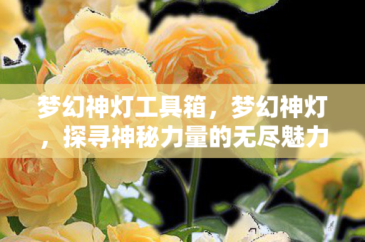 梦幻神灯工具箱，梦幻神灯，探寻神秘力量的无尽魅力