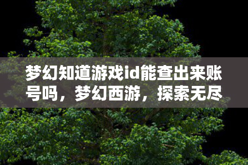 梦幻知道游戏id能查出来账号吗，梦幻西游，探索无尽的奇幻世界之旅