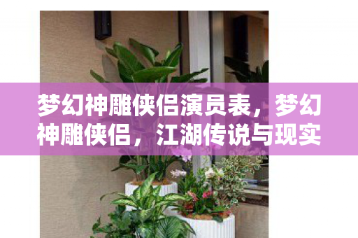 梦幻神雕侠侣演员表，梦幻神雕侠侣，江湖传说与现实世界的交融