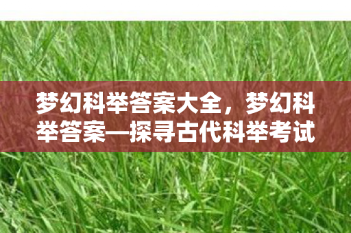 梦幻科举答案大全，梦幻科举答案—探寻古代科举考试的奥秘