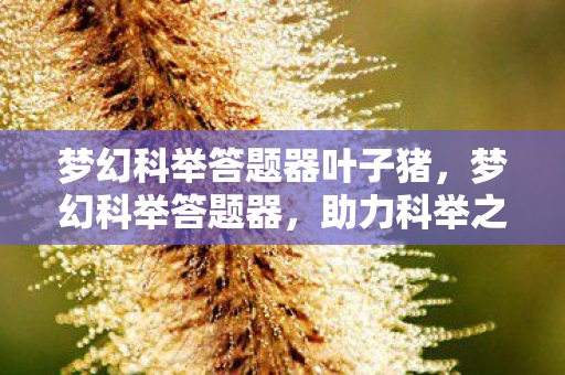 梦幻科举答题器叶子猪，梦幻科举答题器，助力科举之路，轻松登顶状元榜