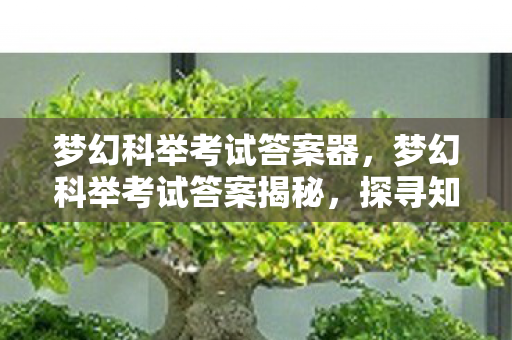 梦幻科举考试答案器，梦幻科举考试答案揭秘，探寻知识宝藏的钥匙