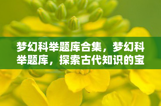 梦幻科举题库合集，梦幻科举题库，探索古代知识的宝库