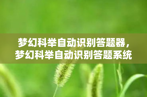 梦幻科举自动识别答题器，梦幻科举自动识别答题系统—科技赋能梦幻般的答题体验