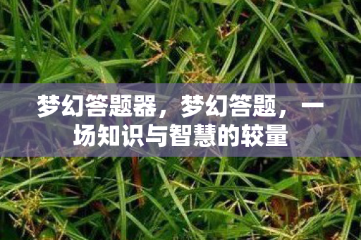 梦幻答题器，梦幻答题，一场知识与智慧的较量