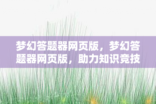 梦幻答题器网页版，梦幻答题器网页版，助力知识竞技，轻松应对挑战