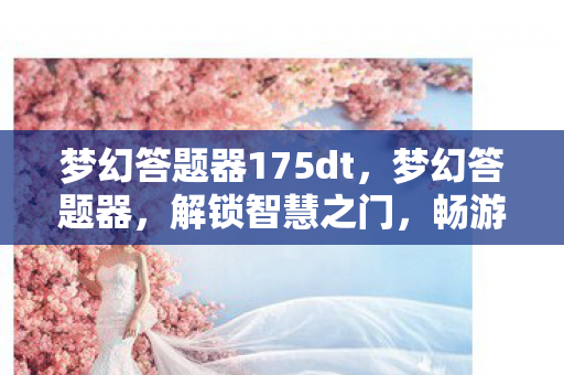 梦幻答题器175dt，梦幻答题器，解锁智慧之门，畅游知识的海洋