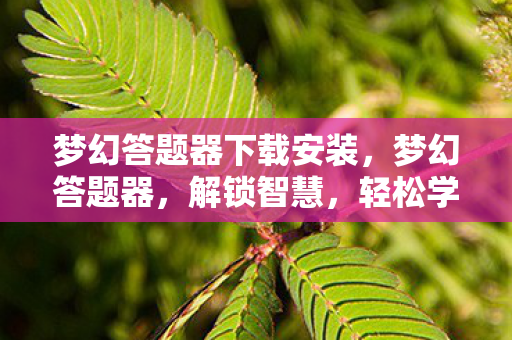 梦幻答题器下载安装，梦幻答题器，解锁智慧，轻松学习的新神器