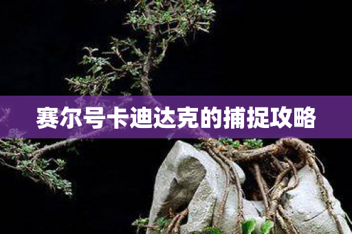 赛尔号卡迪达克的捕捉攻略
