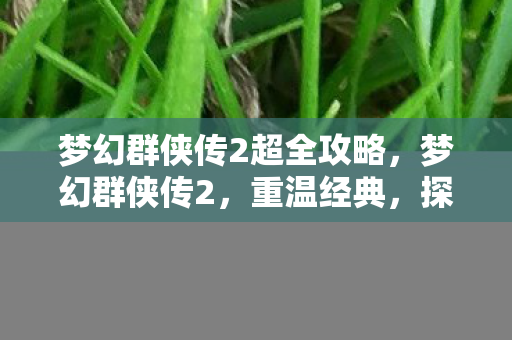 梦幻群侠传2超全攻略，梦幻群侠传2，重温经典，探寻不为人知的秘密