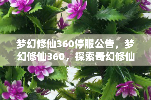 梦幻修仙360停服公告，梦幻修仙360，探索奇幻修仙世界的无限魅力