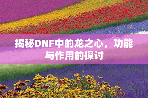 揭秘DNF中的龙之心，功能与作用的探讨