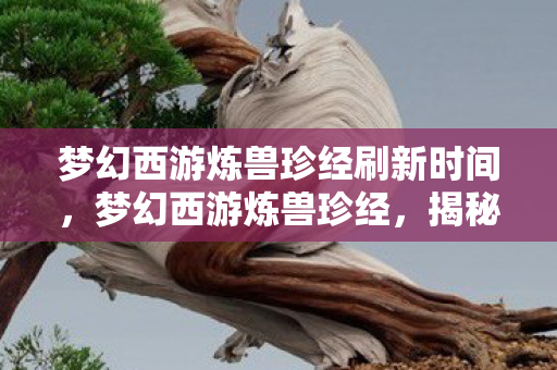 梦幻西游炼兽珍经刷新时间，梦幻西游炼兽珍经，揭秘宠物培养秘籍，成为游戏中的强者！