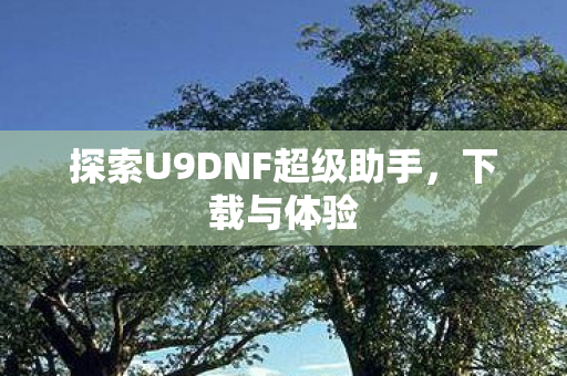 探索U9DNF超级助手，下载与体验