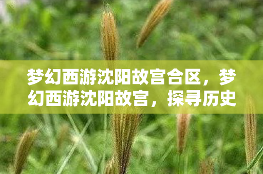 梦幻西游沈阳故宫合区，梦幻西游沈阳故宫，探寻历史与游戏的交融之美