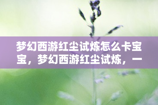 梦幻西游红尘试炼怎么卡宝宝，梦幻西游红尘试炼，一场深入虚拟世界的冒险之旅