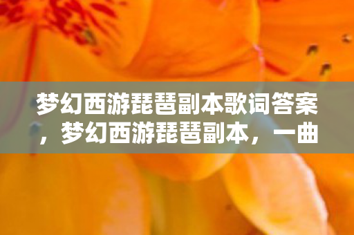 梦幻西游琵琶副本歌词答案，梦幻西游琵琶副本，一曲江湖的诗意冒险之旅