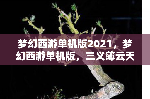 梦幻西游单机版2021，梦幻西游单机版，三义薄云天