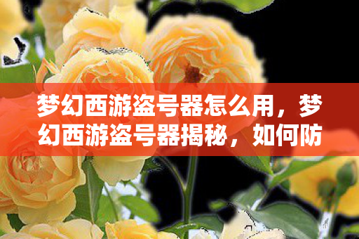 梦幻西游盗号器怎么用，梦幻西游盗号器揭秘，如何防范与应对账号安全威胁？