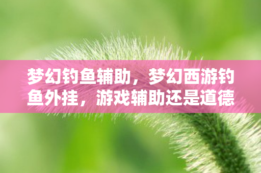 梦幻钓鱼辅助，梦幻西游钓鱼外挂，游戏辅助还是道德伦理的挑战？