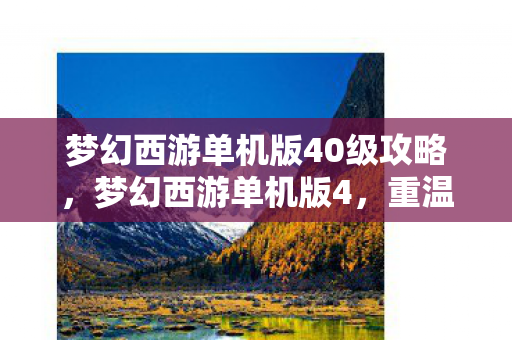梦幻西游单机版40级攻略，梦幻西游单机版4，重温经典，探索未知的游戏世界