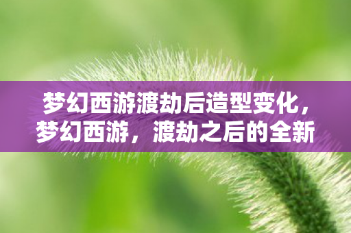 梦幻西游渡劫后造型变化，梦幻西游，渡劫之后的全新造型