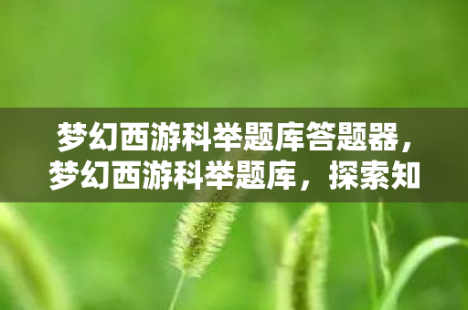 梦幻西游科举题库答题器，梦幻西游科举题库，探索知识宝藏的指南