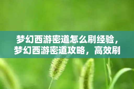 梦幻西游密道怎么刷经验，梦幻西游密道攻略，高效刷怪指南