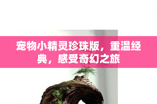宠物小精灵珍珠版，重温经典，感受奇幻之旅