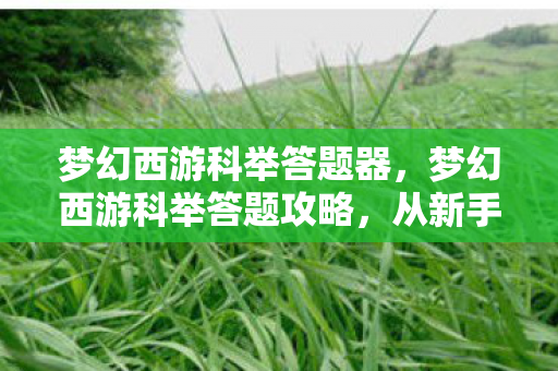梦幻西游科举答题器，梦幻西游科举答题攻略，从新手到高手的进阶之路