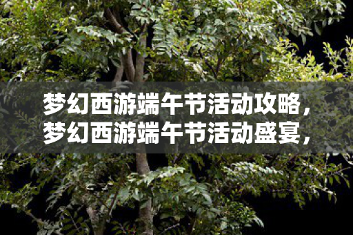梦幻西游端午节活动攻略，梦幻西游端午节活动盛宴，欢乐与福利的交织