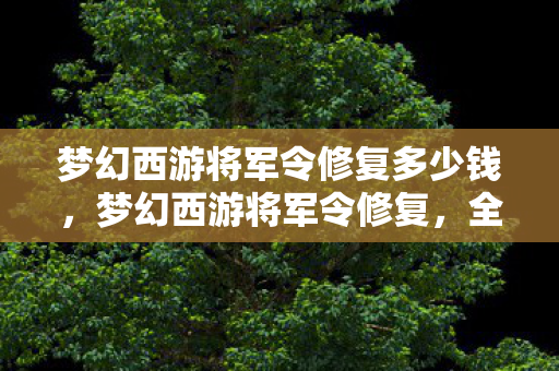 梦幻西游将军令修复多少钱，梦幻西游将军令修复，全面解析与应对策略