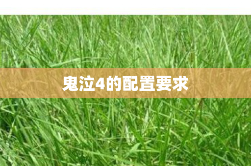 鬼泣4的配置要求