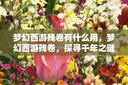 梦幻西游残卷有什么用，梦幻西游残卷，探寻千年之谜，重温经典传奇
