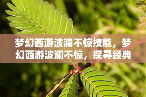 梦幻西游波澜不惊技能，梦幻西游波澜不惊，探寻经典背后的故事与魅力
