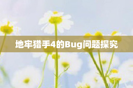 地牢猎手4的Bug问题探究