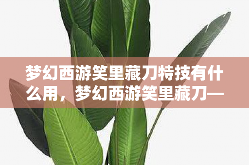 梦幻西游笑里藏刀特技有什么用，梦幻西游笑里藏刀—深度解析游戏策略与人性博弈