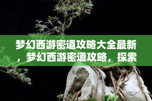 梦幻西游密道攻略大全最新，梦幻西游密道攻略，探索未知领域，轻松通关秘籍