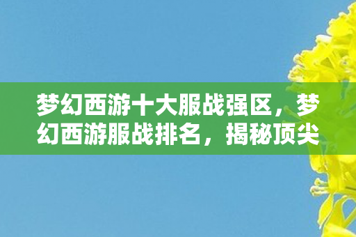 梦幻西游十大服战强区，梦幻西游服战排名，揭秘顶尖玩家实力排行榜