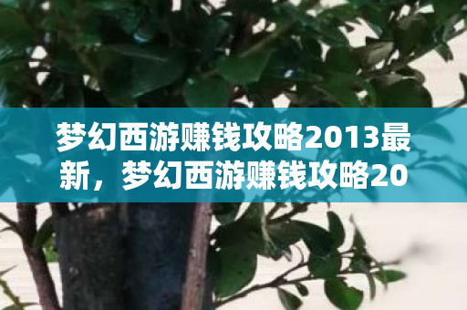 梦幻西游赚钱攻略2013最新，梦幻西游赚钱攻略2013，轻松致富，玩转梦幻世界！