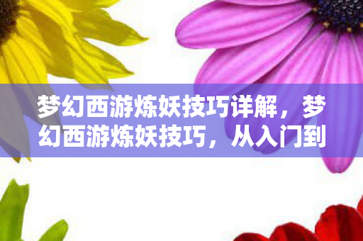 梦幻西游炼妖技巧详解，梦幻西游炼妖技巧，从入门到精通