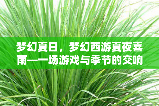梦幻夏日，梦幻西游夏夜喜雨—一场游戏与季节的交响乐章